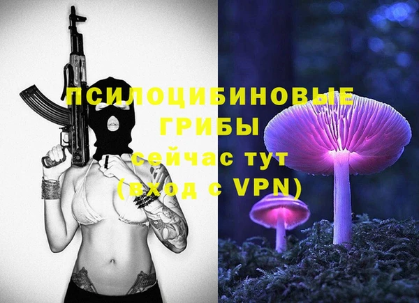 дурь Кукмор
